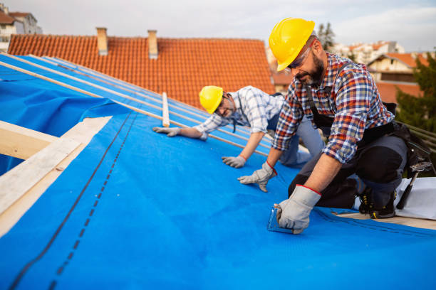 Best Commercial Roofing Services  in Greensboro, MD
